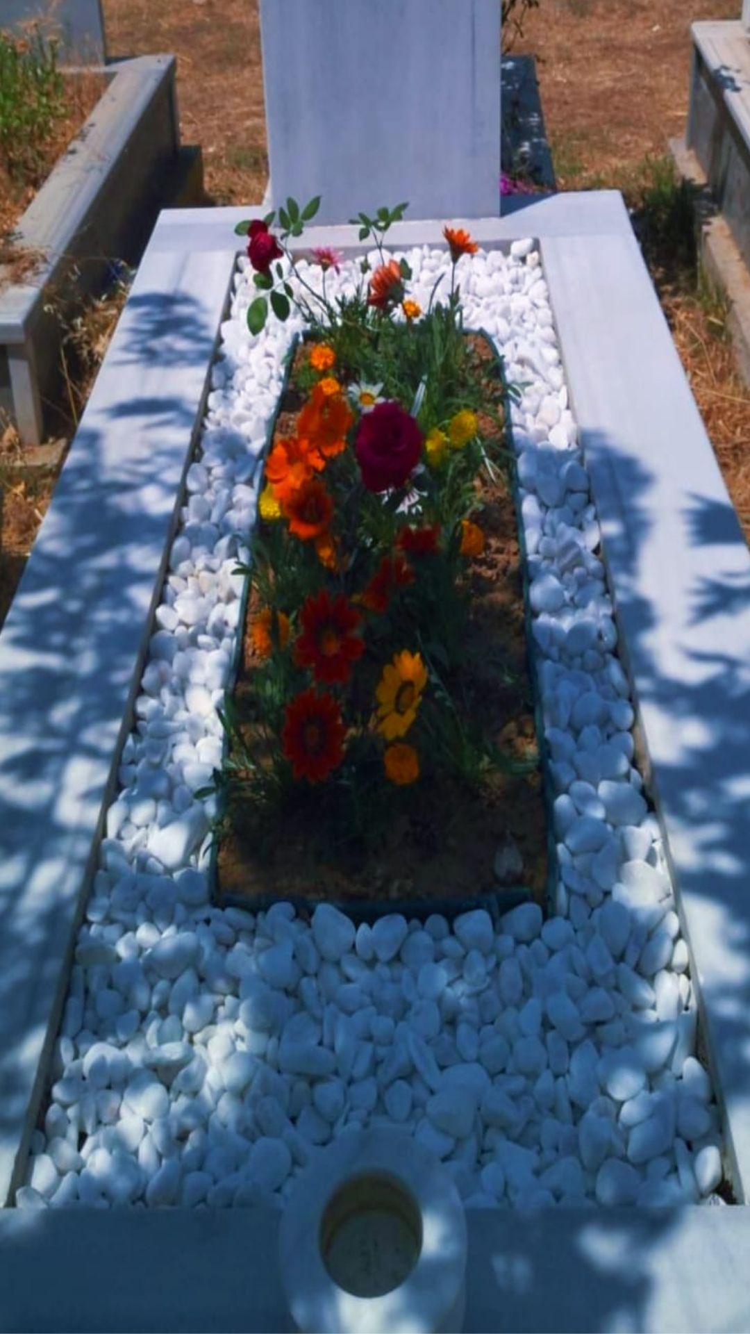 Paket 4 ( Tek Seferlik Bakım )