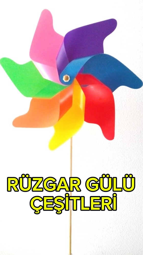 Rüzgar Gülü Çeşitleri
